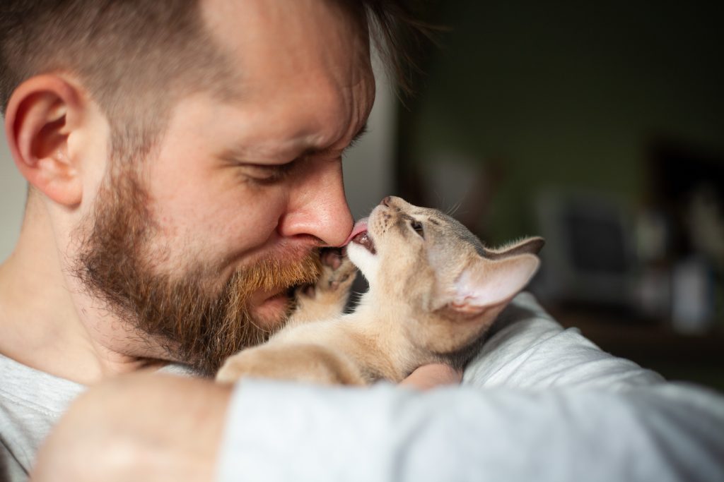 pisică și stăpân care se joacă